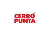 logo-cerro-punta